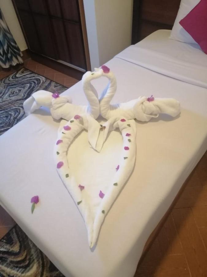 Dolphin Hotel El Qoseir المظهر الخارجي الصورة